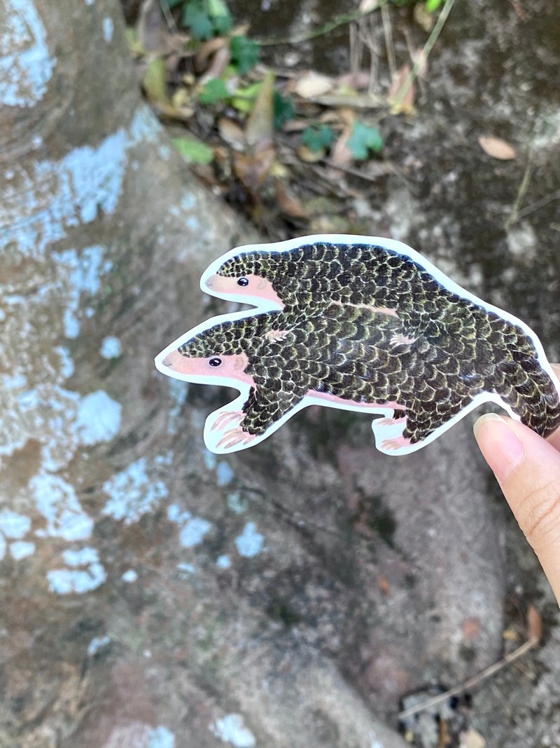 香港哺乳类动物贴纸第一集  穿山甲 松鼠 赤麂  狸  水獭 红颊獴 - 贴纸 - 纸 咖啡色