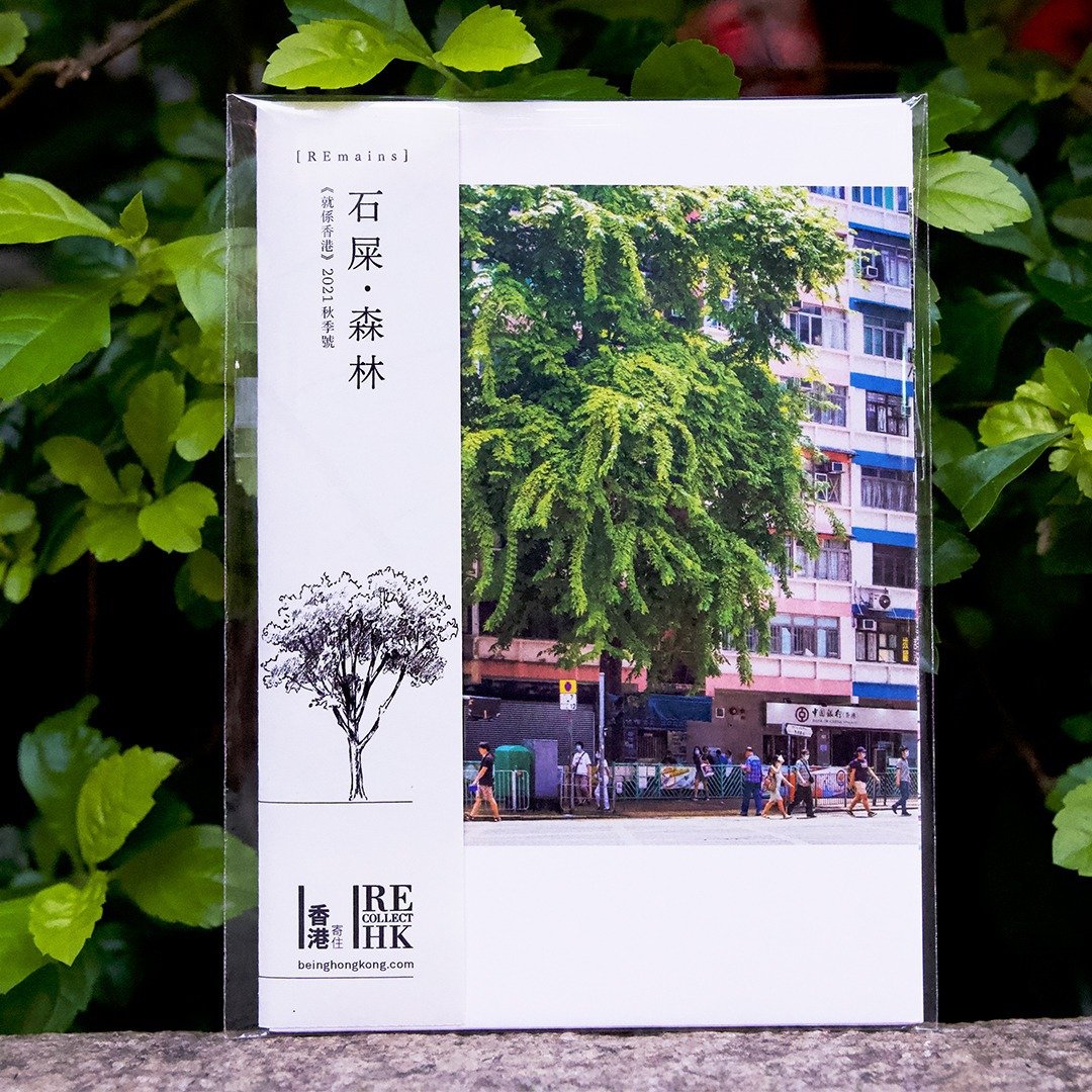 【石屎森林】明信片 - 卡片/明信片 - 纸 