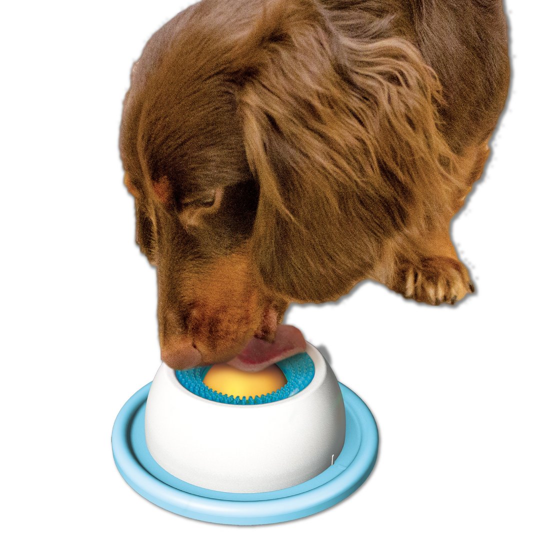 【日本DoggyMan】日本制慢食宠物餐具 ! 犬用舔式喂食器 - 碗/碗架 - 塑料 蓝色