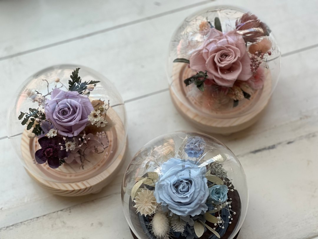 永生花盅 玻璃盅罩 永生花艺 恒星花 永生花 不凋花 干燥花 - 干燥花/捧花 - 植物．花 粉红色