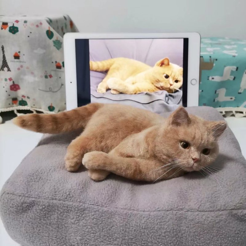 定制化礼物 逼真猫猫 羊毛毡 毛孩 宠物 娃娃 猫咪猫奴 似颜绘 /9 - 玩具 - 羊毛 多色
