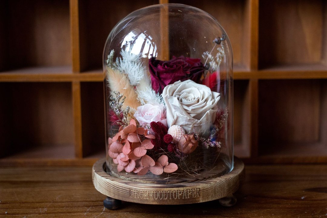 Dull Red Small Glass Dome I  保 鲜 花 玻 璃 罩 - 植栽 - 植物．花 红色
