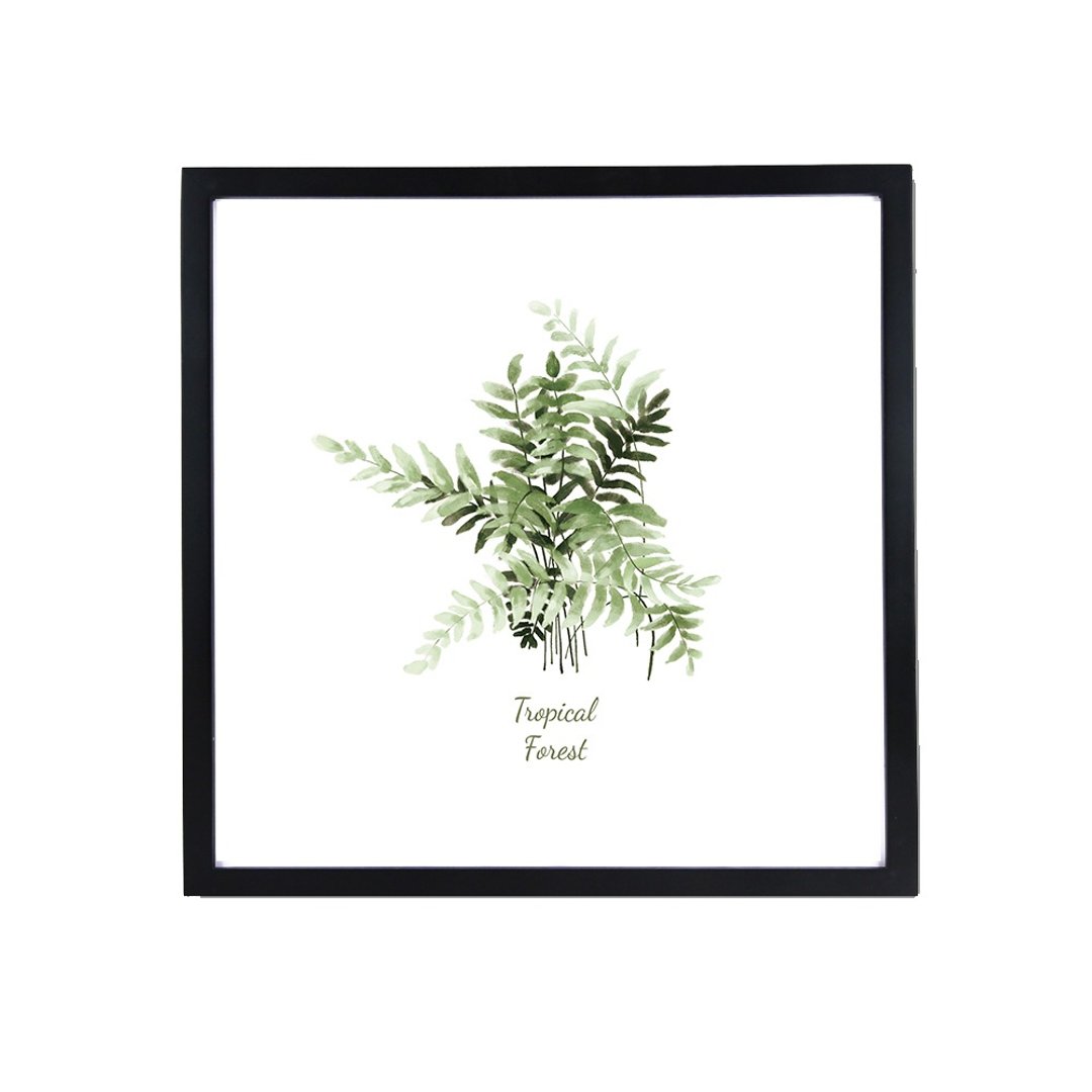 北欧装饰画相框 花草 绿叶 43x43cm 室内设计 蕨叶 摆设 画框 - 海报/装饰画/版画 - 木头 绿色