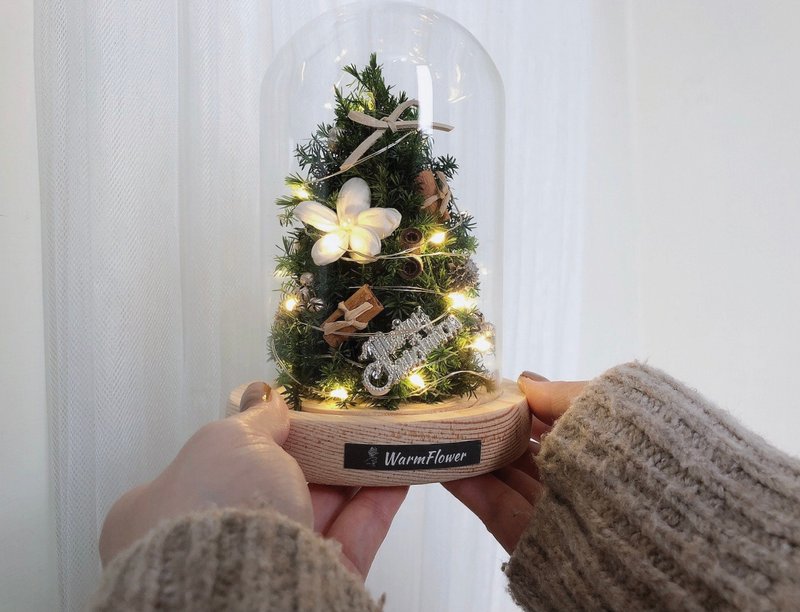 【圣诞礼盒】雪松圣诞树玻璃盅 ー 温暖经典 | 永生花/干燥花 - 干燥花/捧花 - 植物．花 绿色