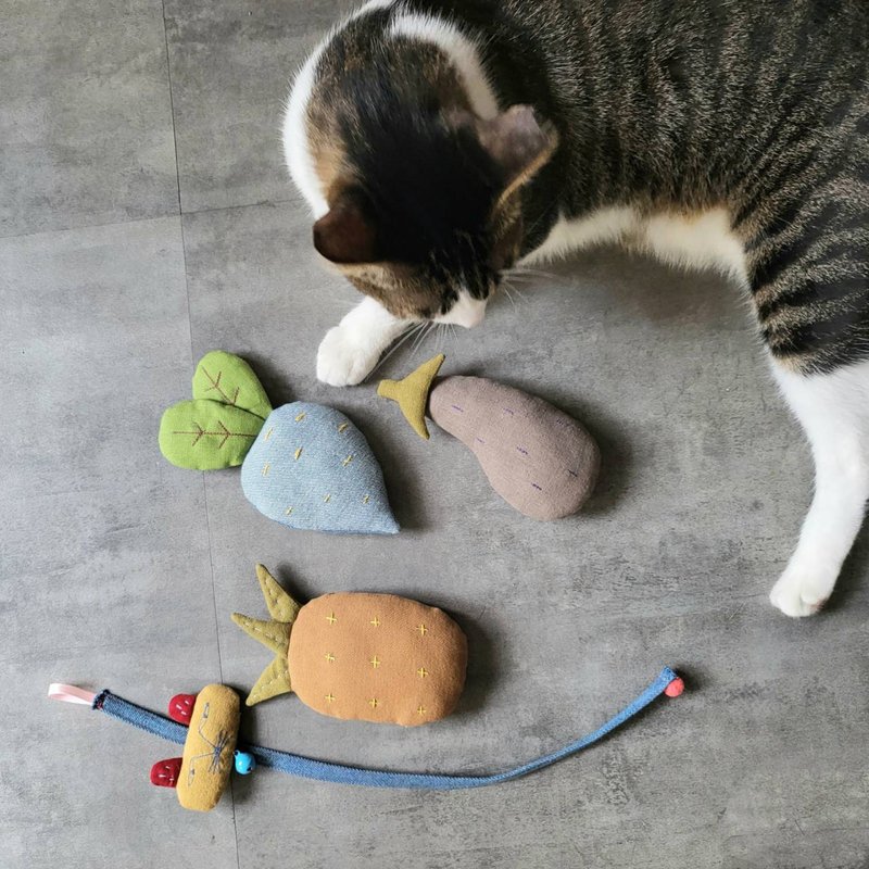 新竹手作体验课程 — 毛小孩 猫踢踢 抱抱踢 水果款 - 编织/羊毛毡/布艺 - 棉．麻 