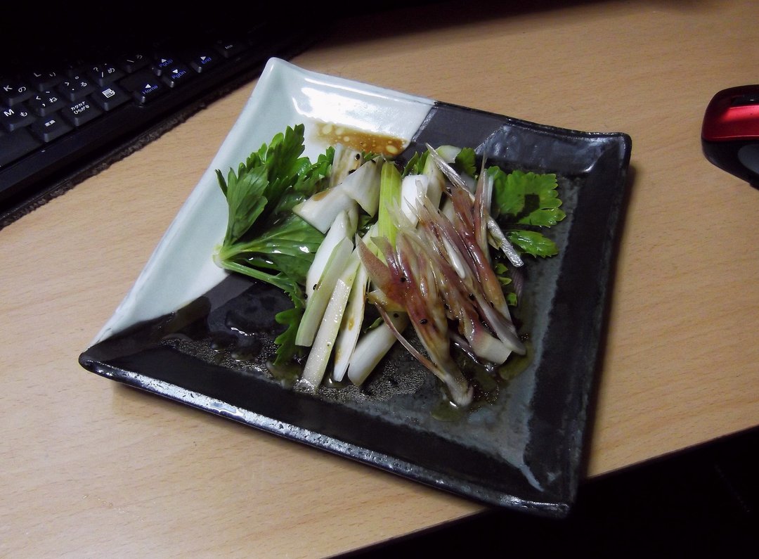 Deep Green Shinryoku series Spuare Plate - 盘子/餐盘/盘架 - 陶 黑色