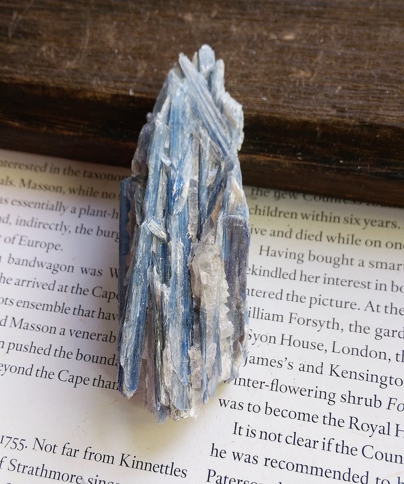 Kyanite 巴西产地 蓝晶石 石英共生矿 天然矿石 原矿 - 摆饰 - 其他材质 