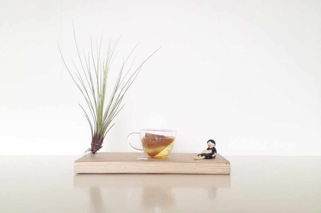 花莲寿丰红藜茶包（十入） - 茶 - 新鲜食材 红色
