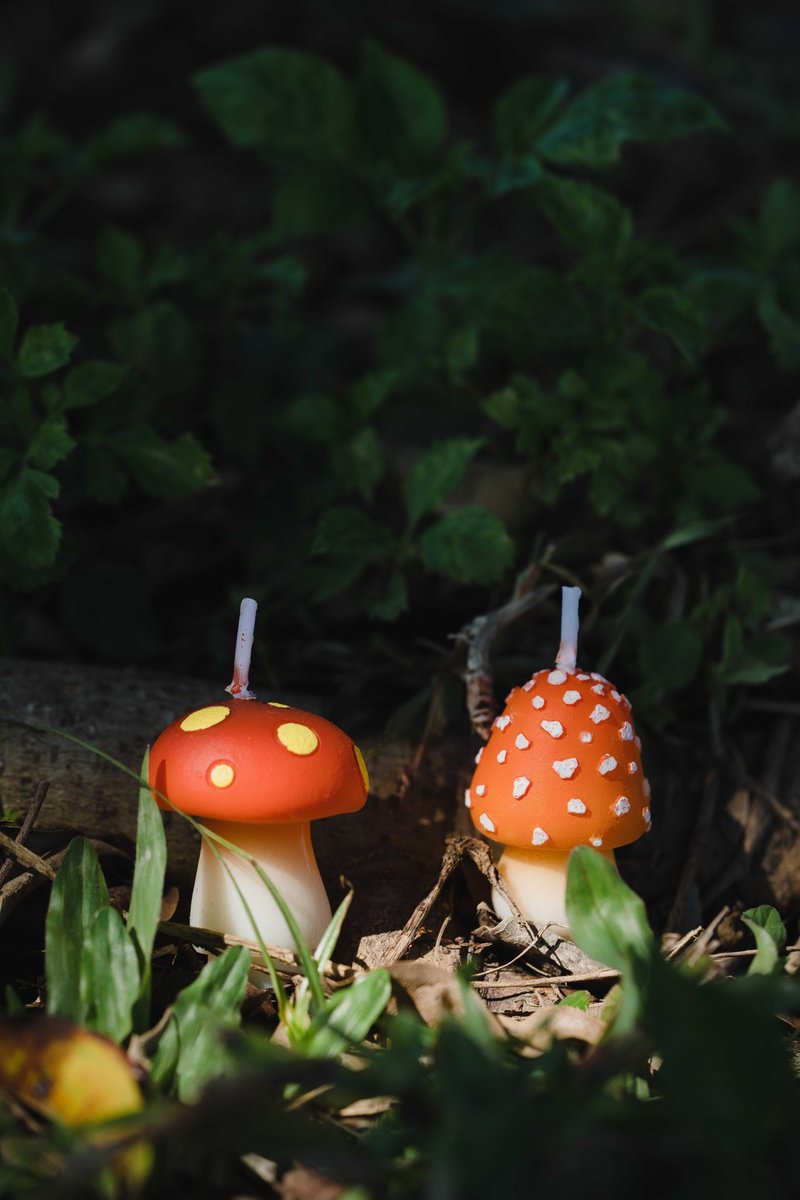 森林秘境 • 迷幻蘑菇蛋糕蜡烛组 - 蜡烛/烛台 - 蜡 多色