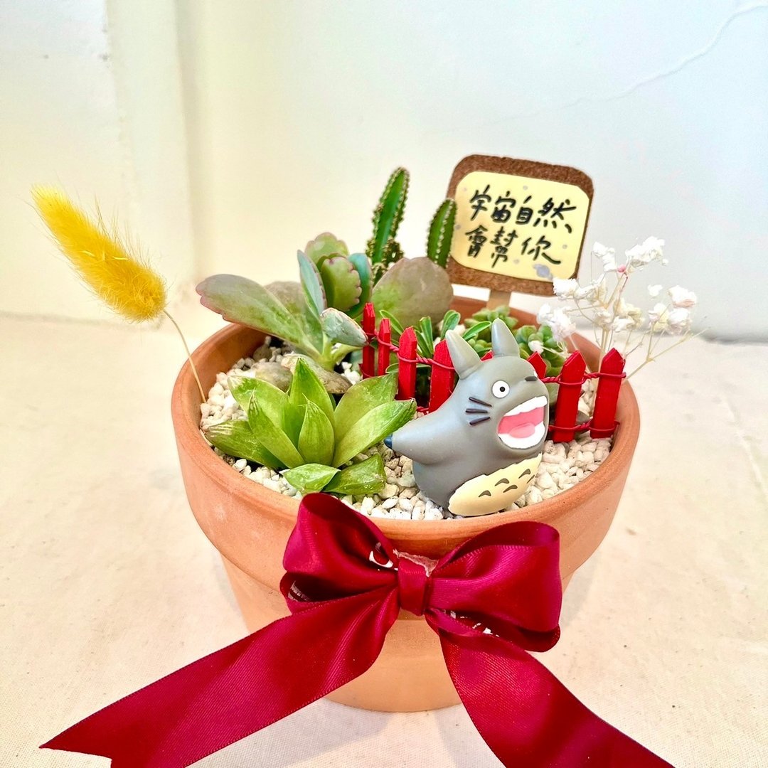 多肉组盆 飞翔龙猫 枯山水 微景观 盆栽 生日礼 橡子共和国 多肉 - 植栽/盆栽 - 植物．花 绿色
