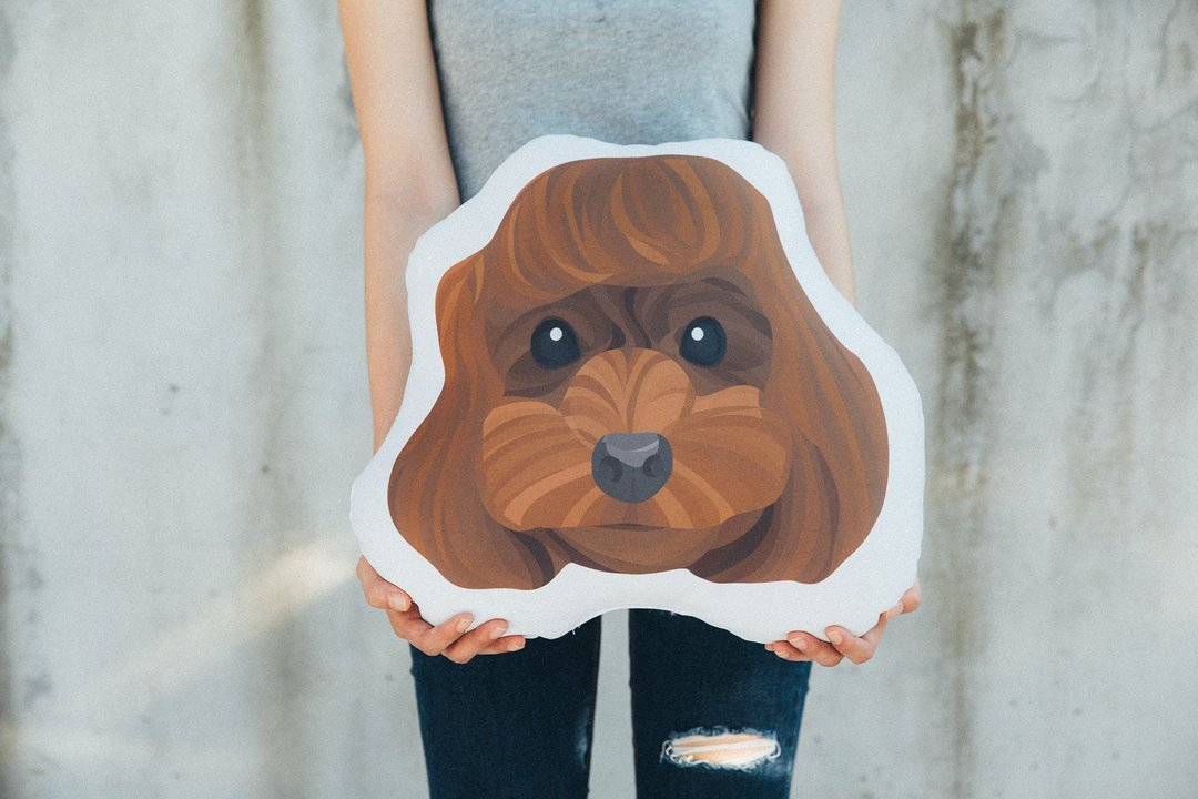 加购商品 - 宠物插画抱枕 - 摆饰 - 纸 