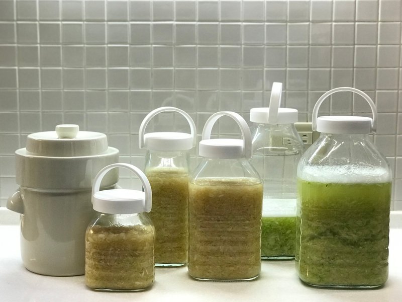 发酵乳酸高丽菜 - 其他 - 新鲜食材 