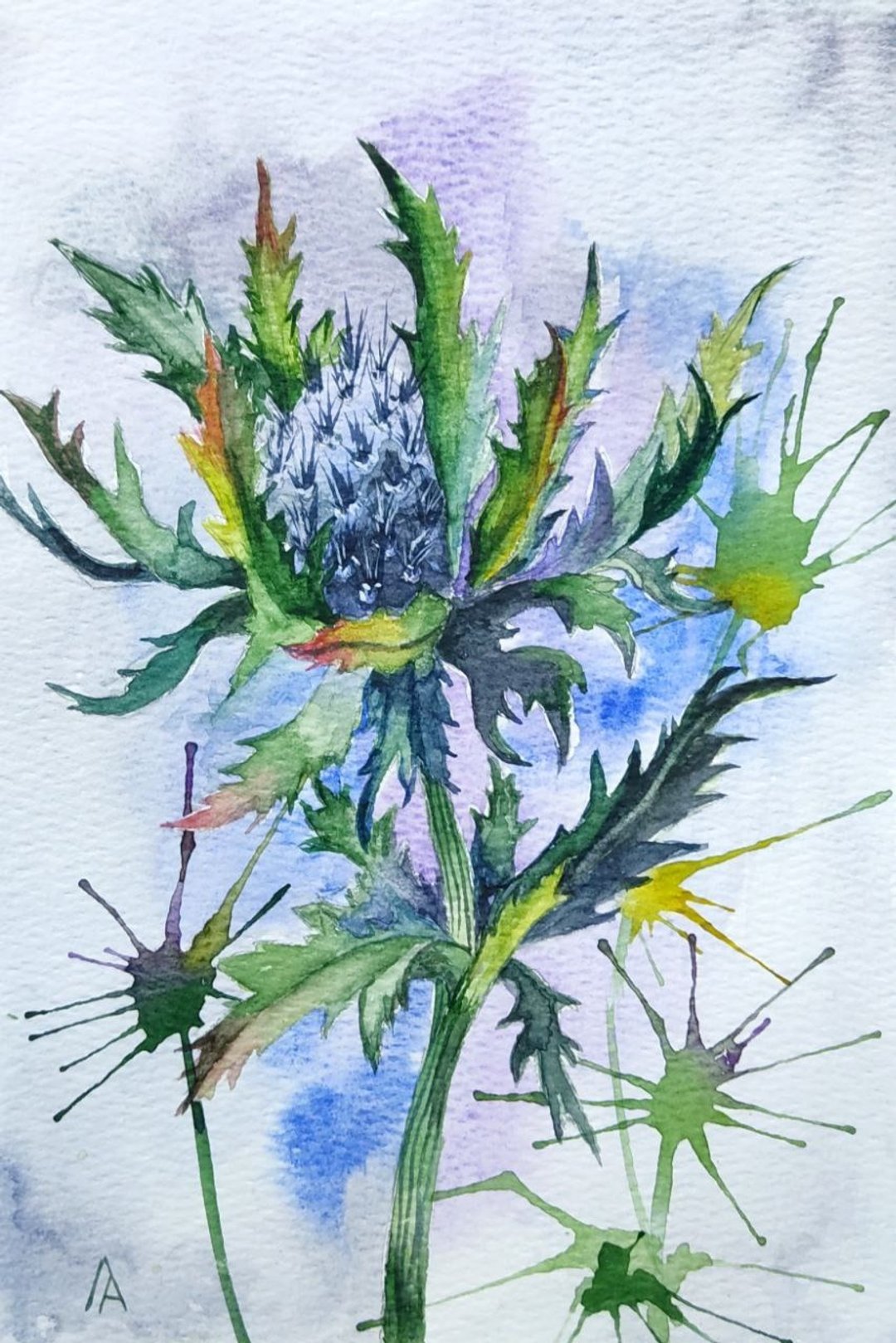蓟画原创水彩艺术植物蓝花艺术品 - 海报/装饰画/版画 - 纸 蓝色