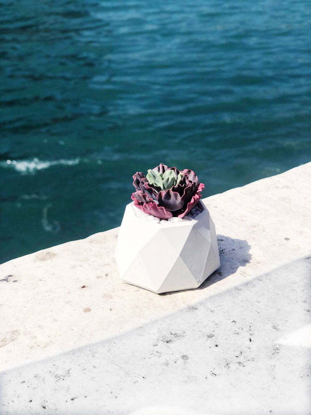 【订货】女王花笠Echeveria vc. 'Meridian' - 摆饰 - 粘土 