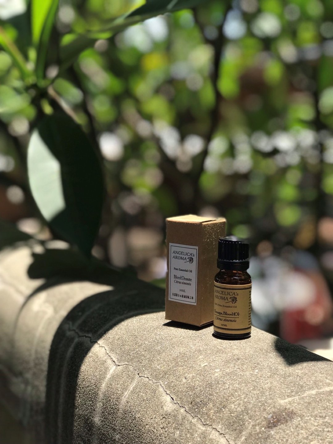 石榴籽油 / Pomegranate seed oil - 蜡烛/香氛/手工皂 - 浓缩/萃取物 