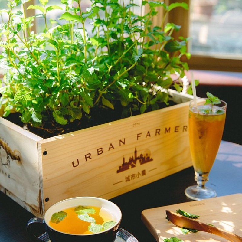 城市小农栽培组-香草花园/香草植物 - 植栽/盆栽 - 木头 卡其色