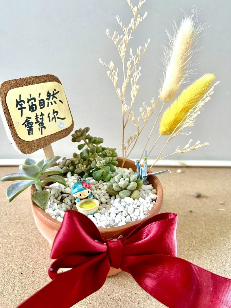 日式枯山水 多肉植物 多肉盆栽 微景观 Kitty 凯蒂猫 三丽鸥 送礼 - 植栽/盆栽 - 植物．花 绿色