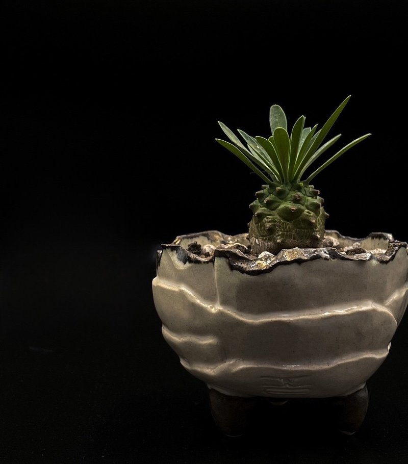 KO盆器- 金属白三足盆 - 植栽/盆栽 - 陶 
