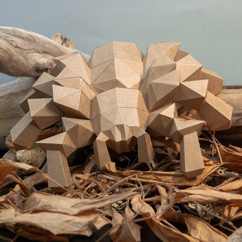 问创设计 DIY手作3D纸模型 挂饰 昆虫系列 - 蜘蛛(4色可选) - 玩偶/公仔 - 纸 卡其色