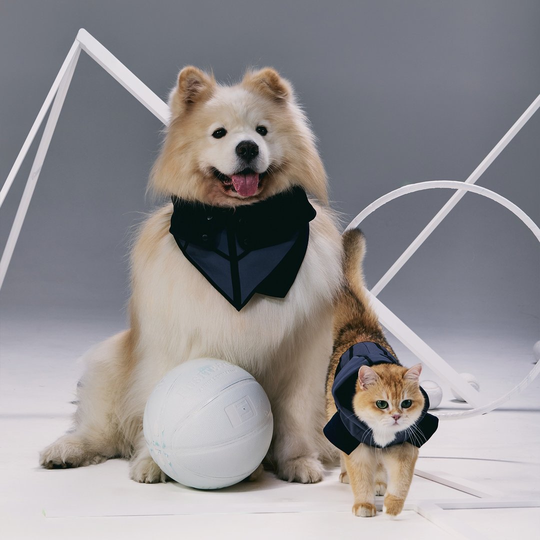 GOAL! 束身剪裁设计领巾 - 项圈/牵绳 - 其他材质 