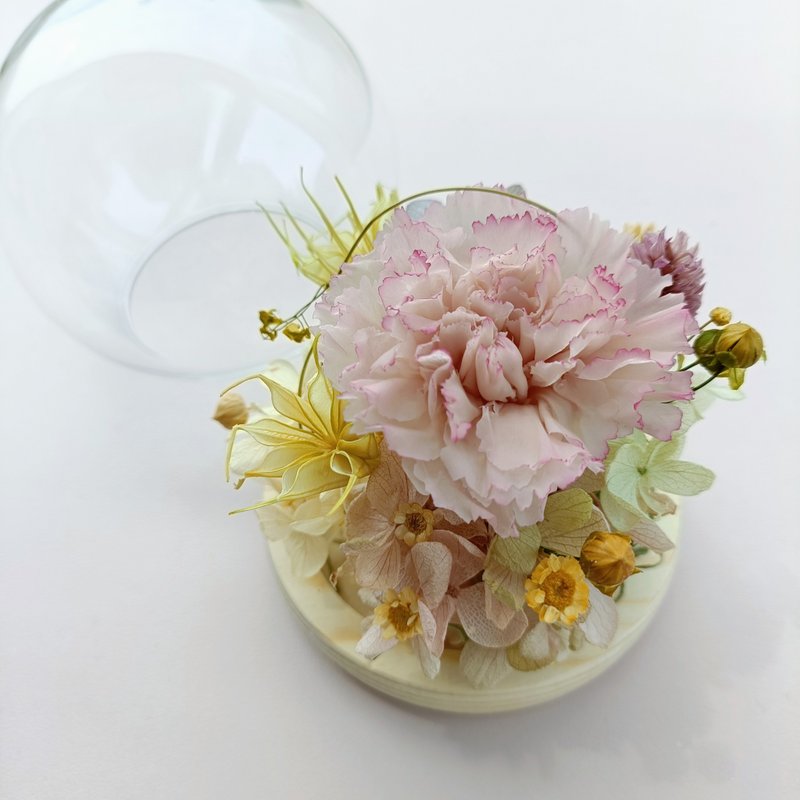 永生康乃馨玫瑰玻璃盅罩 生日开幕店面居家布置七夕情人节花束中 - 干燥花/捧花 - 植物．花 粉红色