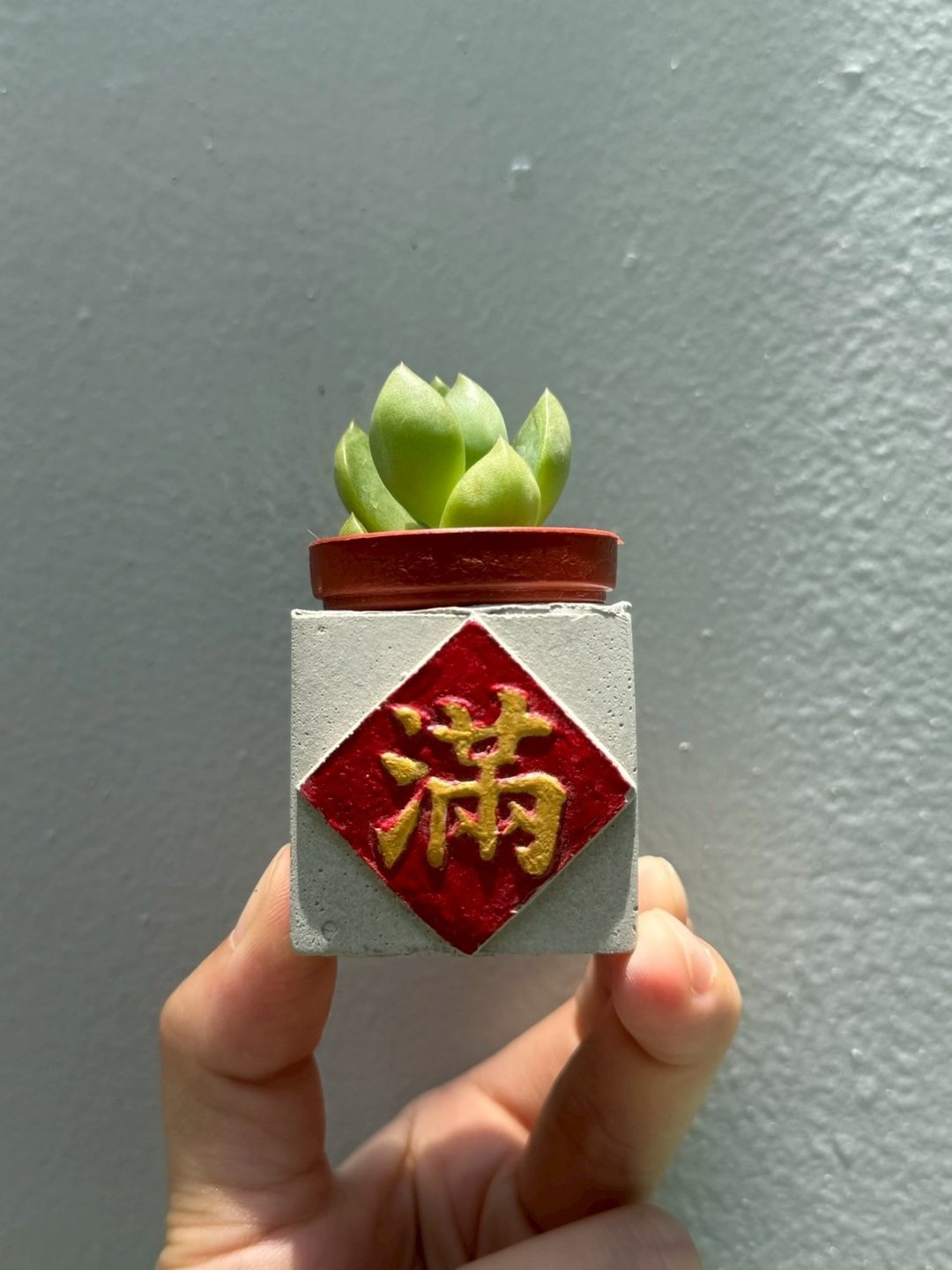 满 红通通 新年磁铁盆栽 送多肉 - 植栽/盆栽 - 水泥 红色