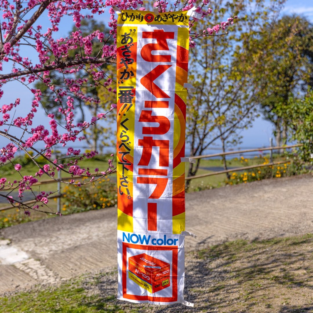 桑惠商号 1967s日本樱花牌底片 广告纪念旗帜 さくらカラーN-100 - 摆饰 - 丝．绢 多色