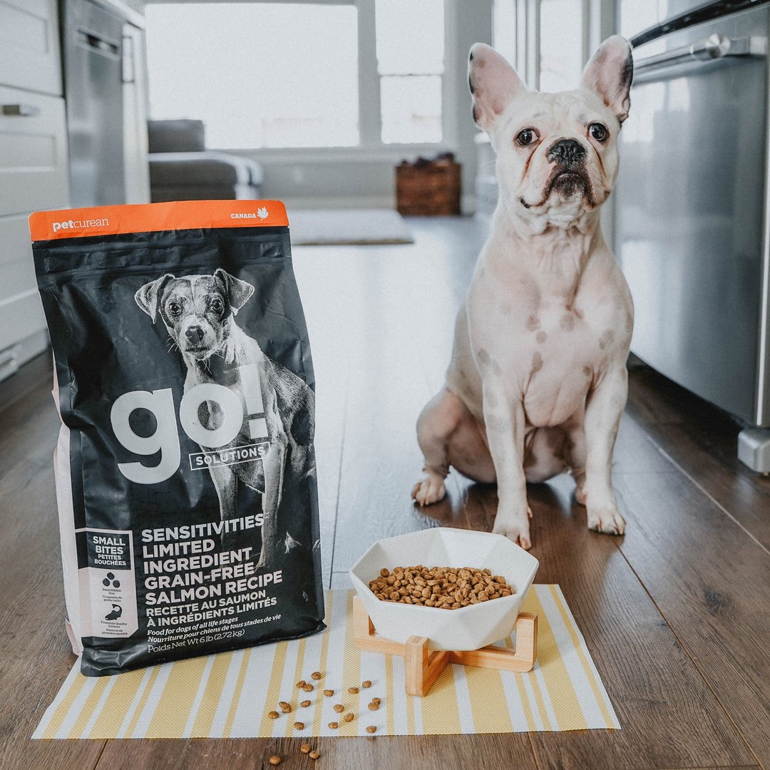 【狗主食】go! 鲑鱼全犬 小颗粒 低致敏系列 无谷 狗饲料 - 狗罐头/鲜食 - 新鲜食材 