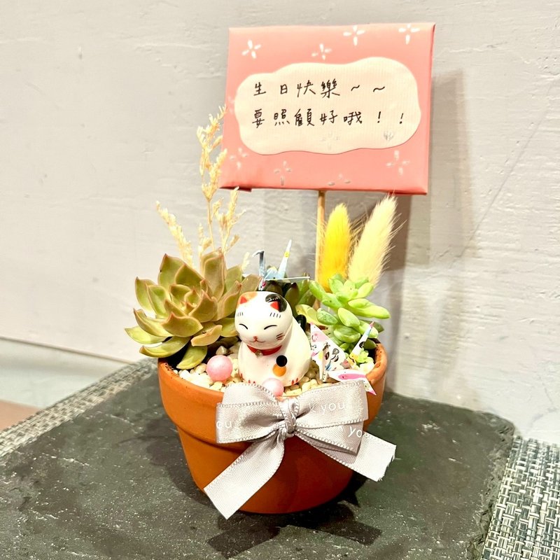 台中多肉组盆 多肉植物 日式枯山水 招财日本猫咪 礼物送礼 疗愈 - 植栽/盆栽 - 植物．花 绿色