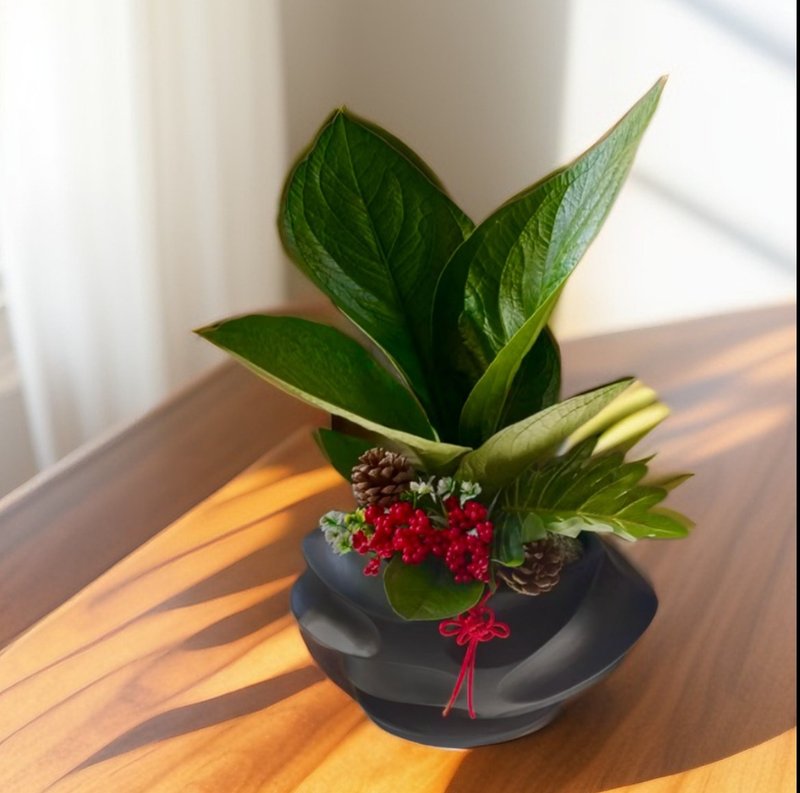 【老板私推稀有盆】龙华高 富贵花烛 开幕新居乔迁送礼自用客厅 - 植栽/盆栽 - 陶 