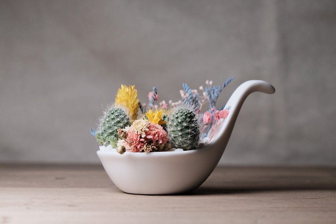 满载一匙花肉 干燥花多肉盆栽DIY材料包 succulents potted - 植栽/盆栽 - 纸 白色
