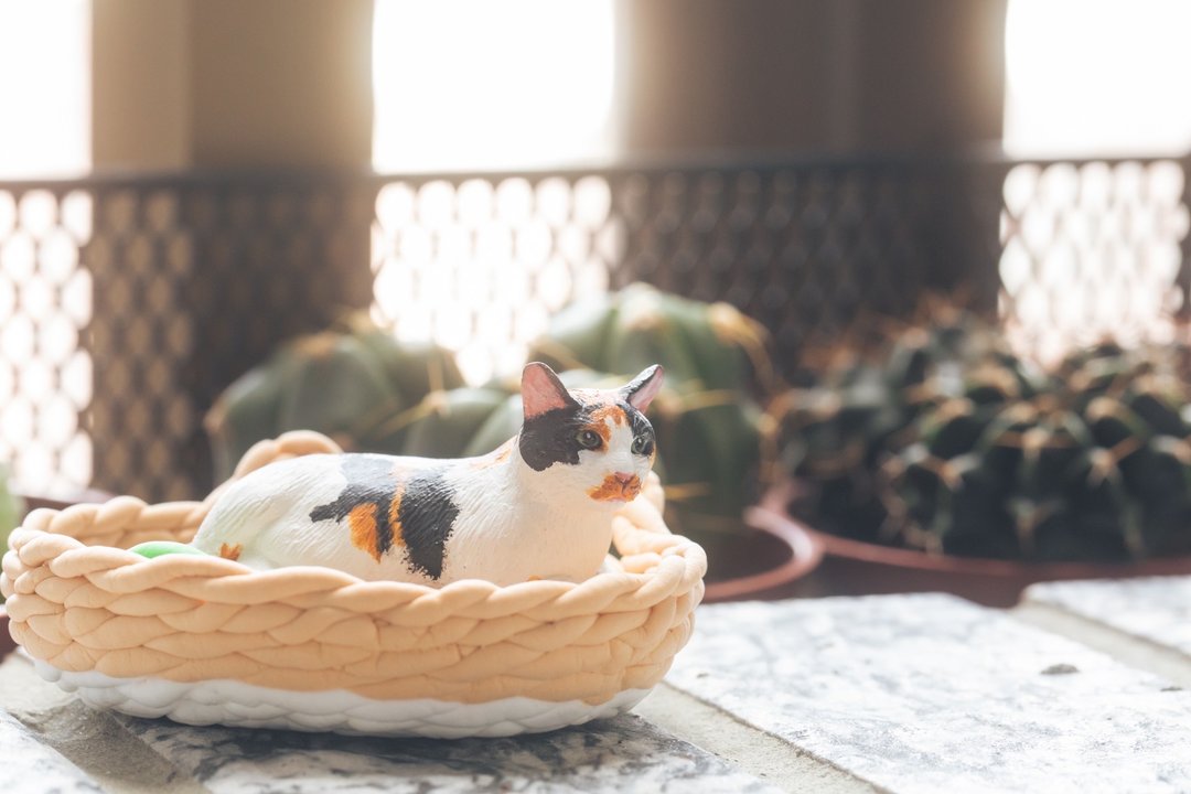 猫咪 定制化宠物手工黏土模型 含配件 - 玩偶/公仔 - 粘土 银色