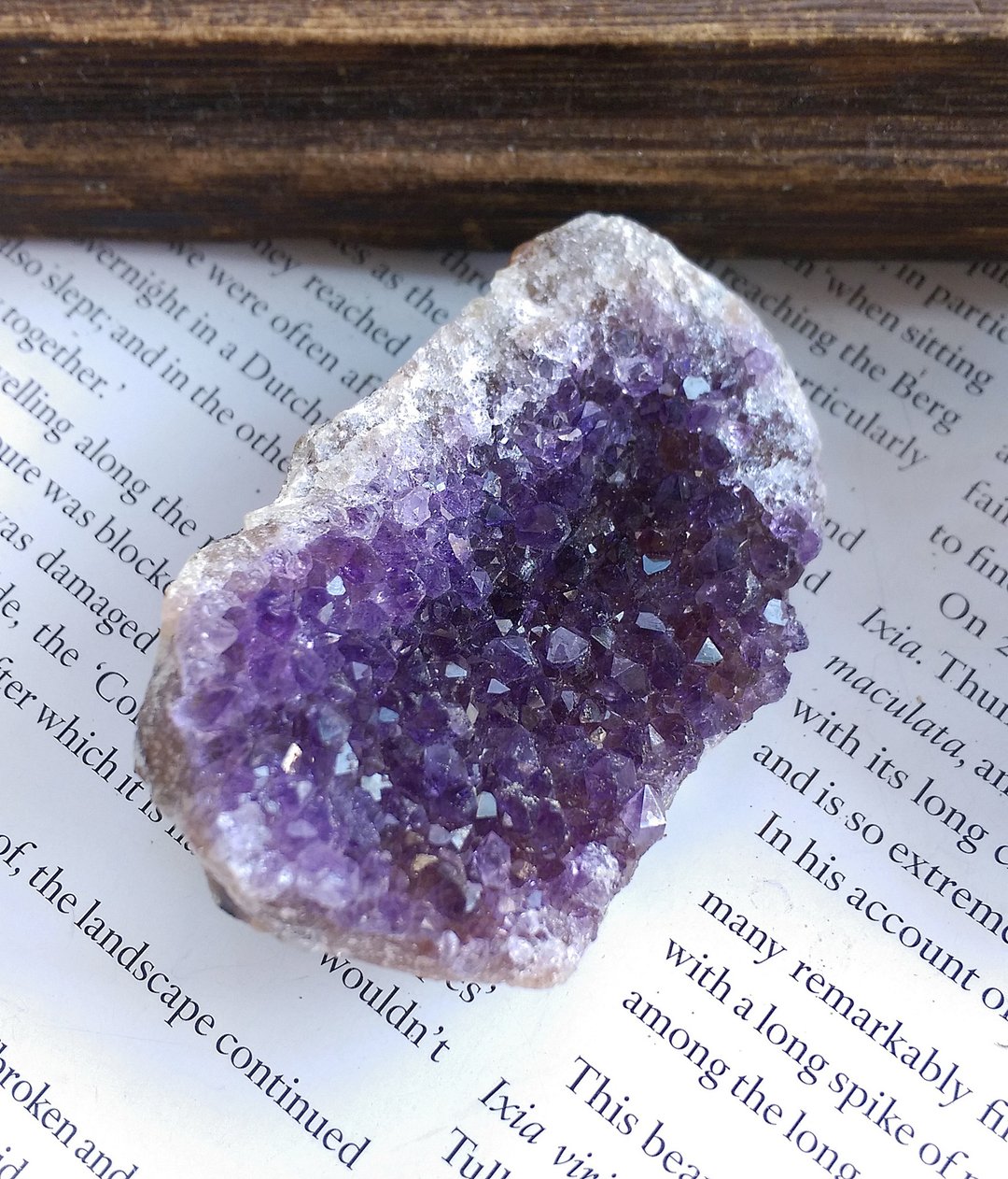 Amethyst 巴西产地 原皮紫水晶 晶簇 天然矿石 原矿 - 摆饰 - 其他材质 