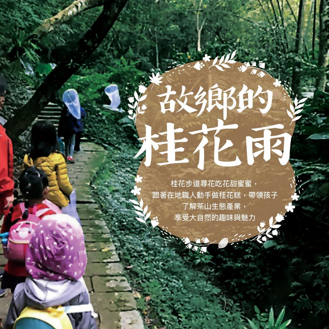 【亲子小旅行~故乡的桂花雨】茶山生态观察+在地职人手作桂花糕 - 户外/室内活动 - 其他材质 