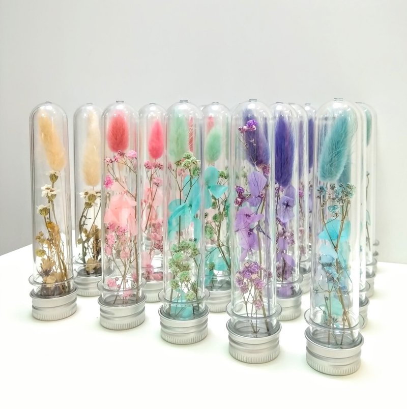 质感试管花迷你干燥小花束情人节闺蜜生日纪念告白毕业婚礼小物 - 干燥花/捧花 - 植物．花 粉红色