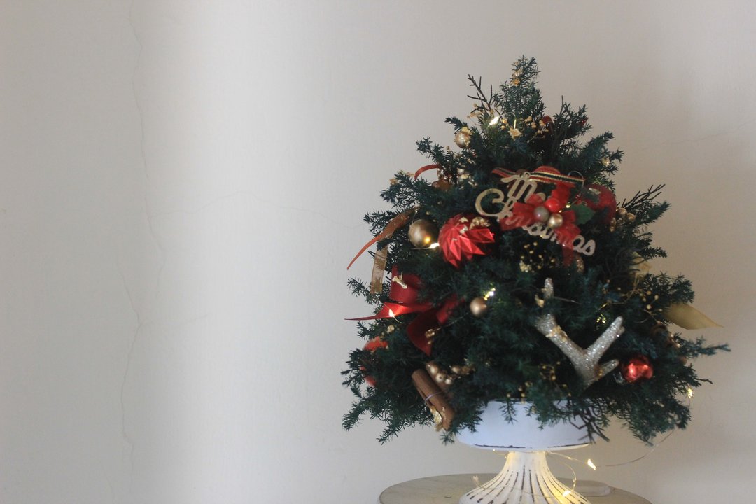 永生金箔圣诞小树 Gold-leaf Christmas Tree - 摆饰 - 植物．花 红色