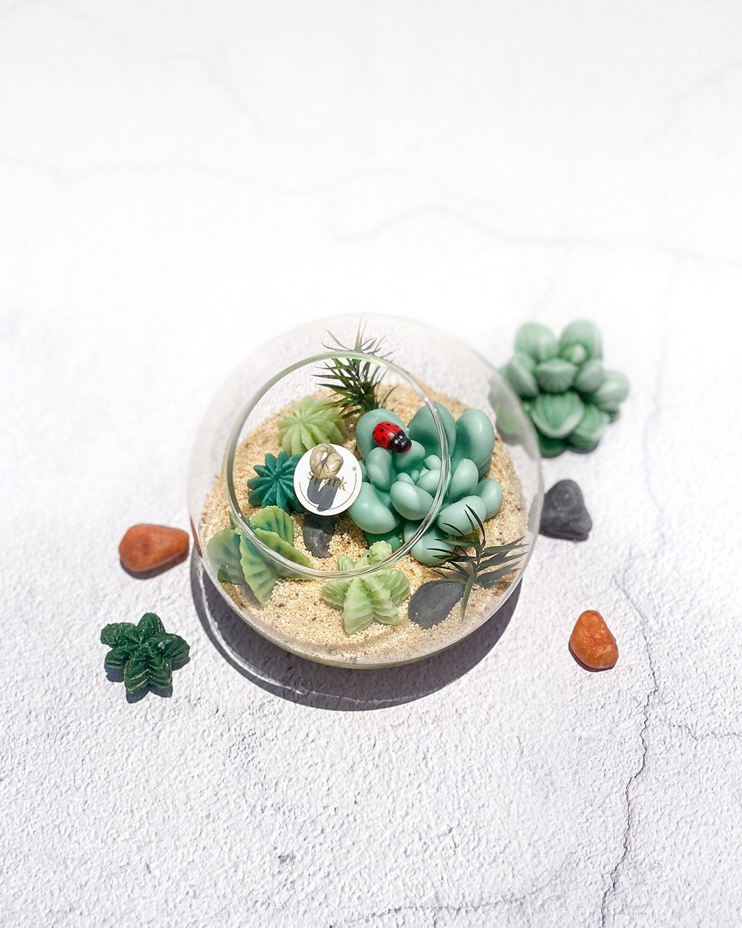 多肉植物玻璃盆栽蜡烛 | 仙人掌蜡烛 - 蜡烛/烛台 - 蜡 绿色