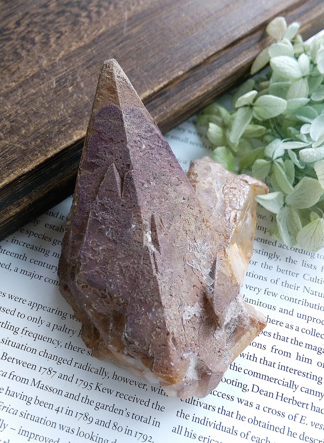Calcite 贵州产地 虎牙方解石 单晶牙 天然矿石 原矿 - 摆饰 - 其他材质 