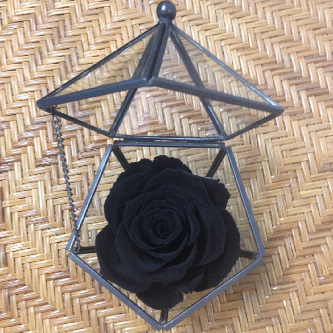  五角形玻璃珠宝盒 天鹅黑 不凋玫瑰花 - 干燥花/捧花 - 植物．花 黑色