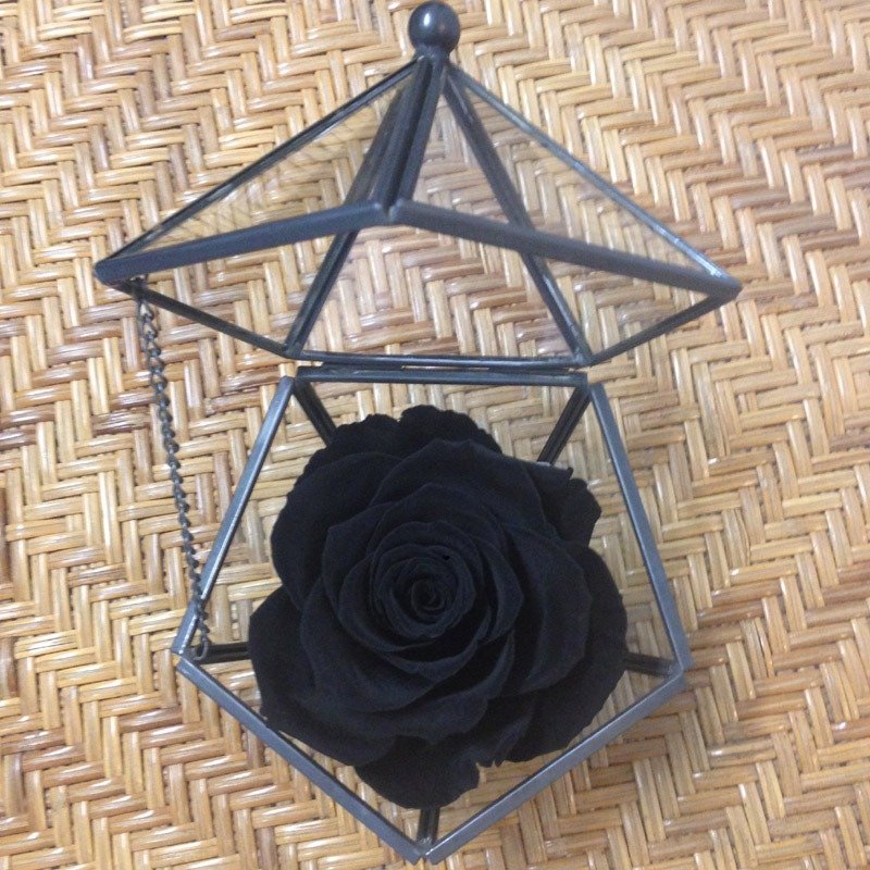  五角形玻璃珠宝盒 天鹅黑 不凋玫瑰花 - 干燥花/捧花 - 植物．花 黑色