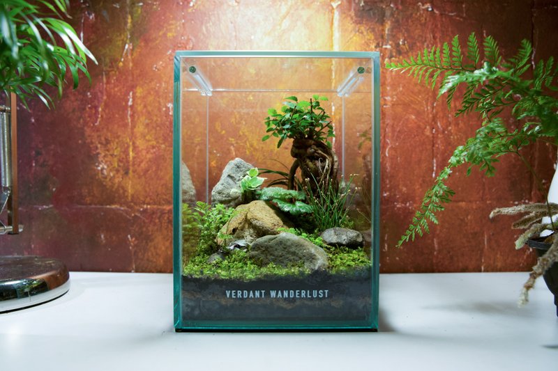 【生态缸－榆梦微尘】微景观 室内植栽 礼物 办公室摆设 - 植栽/盆栽 - 玻璃 绿色