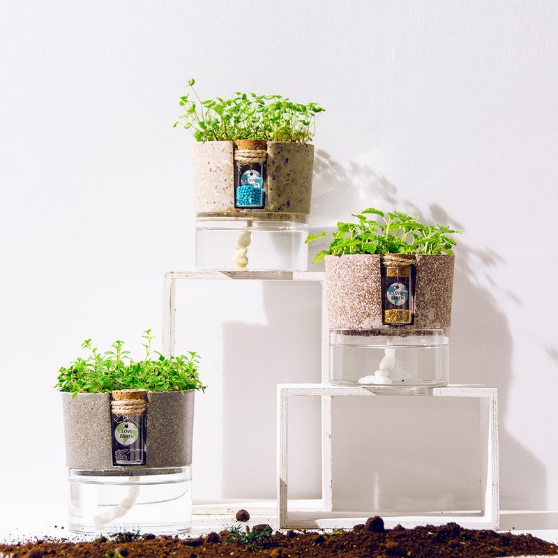 环保盆栽 ECO POT/环保材质/办公室盆栽/无土免浇水/可定制 - 植栽/盆栽 - 环保材料 咖啡色