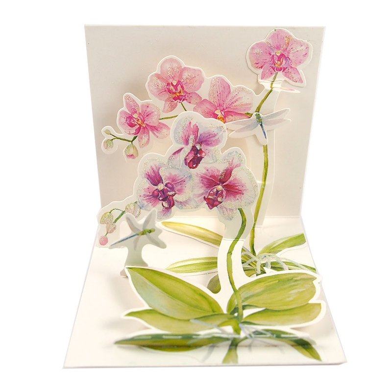 TRK小卡-兰花与蜻蜓【Up With Paper-立体卡片 多用途】 - 卡片/明信片 - 纸 多色