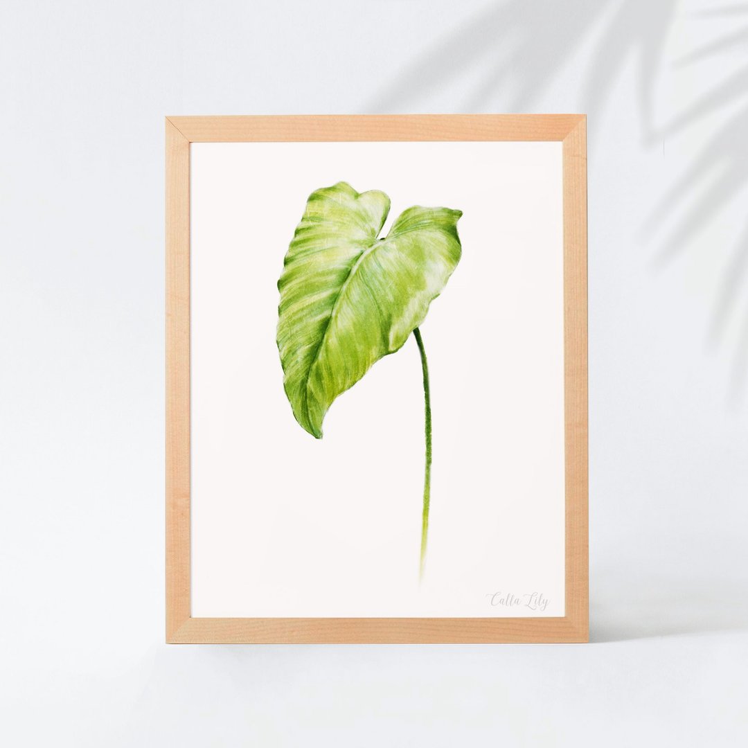 植物的静默 卧房餐厅挂画 植物水彩复制画 清新治愈绿色装饰画 - 海报/装饰画/版画 - 纸 多色