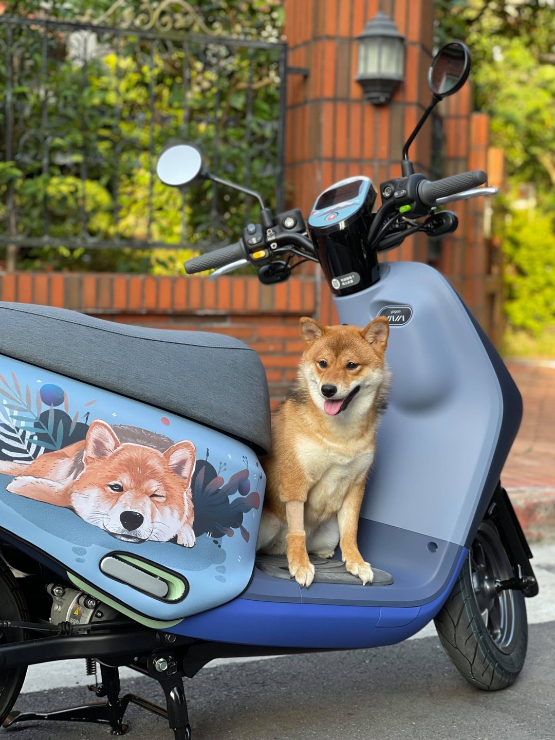 Gogoro 防刮车套 2代 3代 viva 、mix  Ai1 UR2  定制化 宠物 - 其他 - 聚酯纤维 