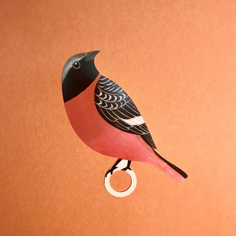 Message card and envelope set  Horohho JOBITAKI - 卡片/明信片 - 纸 红色