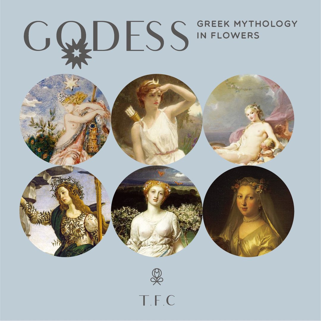 Goddess Color Palette / TFC 女神色票 (此页面不提供下单) - 干燥花/捧花 - 植物．花 