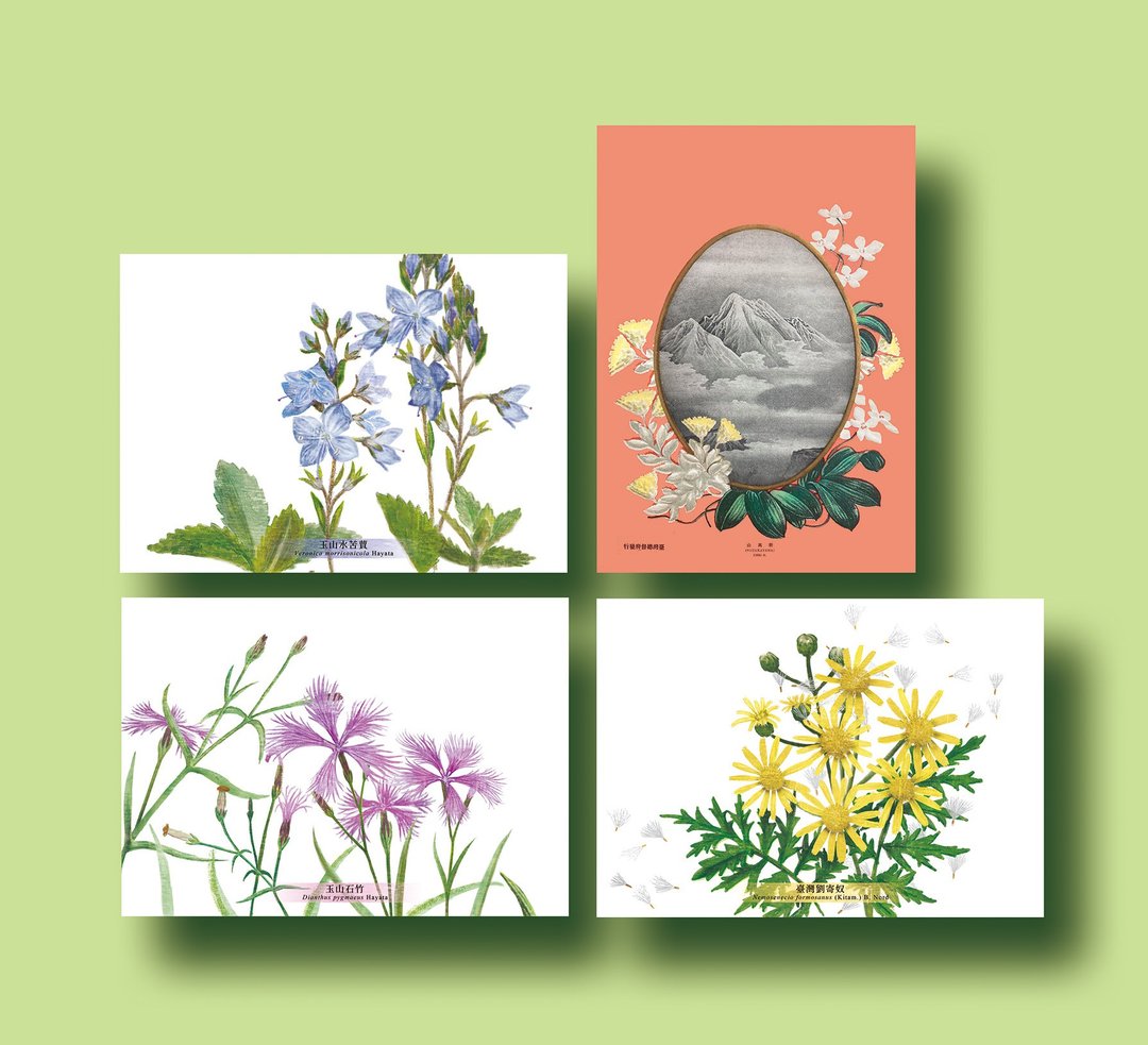 高山植物明信片 - 卡片/明信片 - 纸 多色