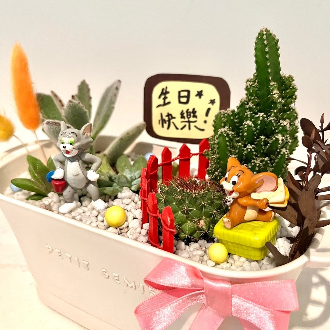 汤姆猫与杰利鼠Tom and Jerry 多肉组盆 多肉盆栽 微景观 定制化 - 植栽/盆栽 - 植物．花 绿色