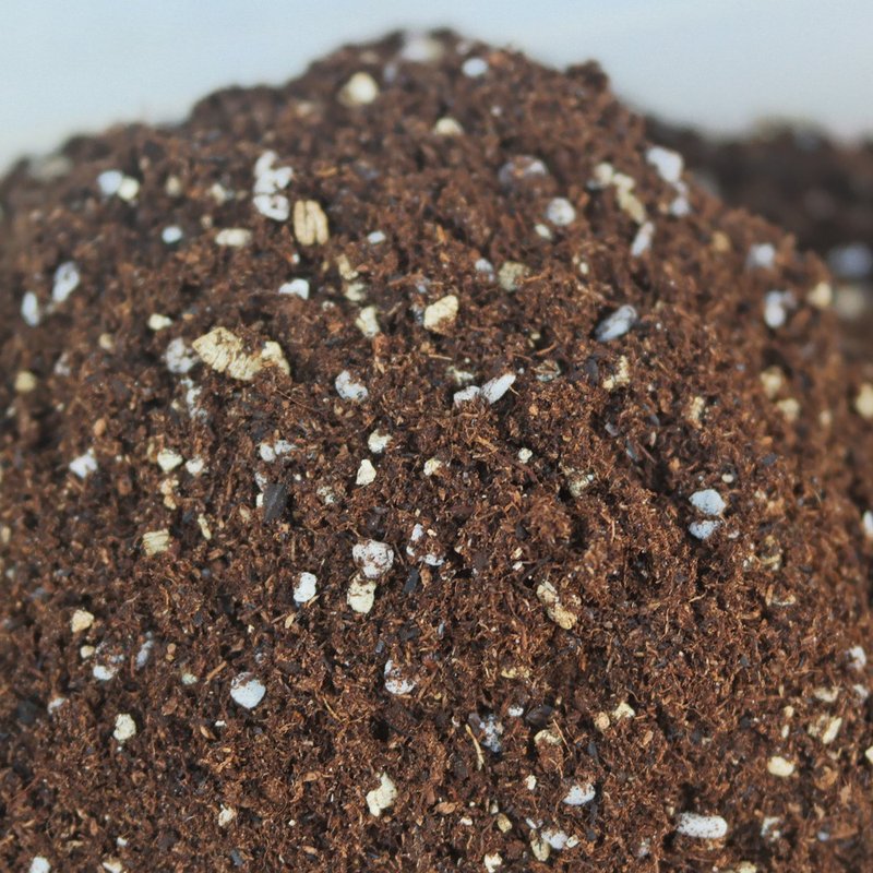 【豆豆多肉】【培育泥炭土(内含微量蚓粪土)】送礼│多肉植物 - 植栽/盆栽 - 其他材质 